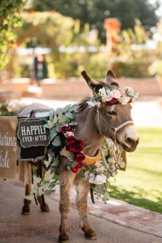 DestinationWeddingPhotographySantaRosaPHX-712